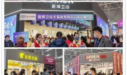 合肥爆料团最新,揭秘城市热点事件背后的真相