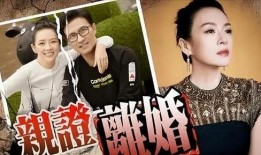 刘大锤最新爆料后续视频